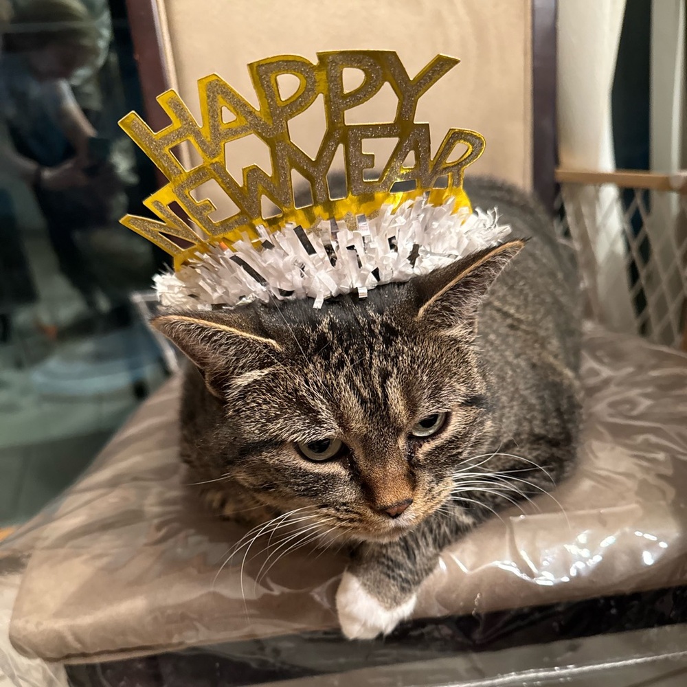 Happy New Year!!!🎆🎊🥳